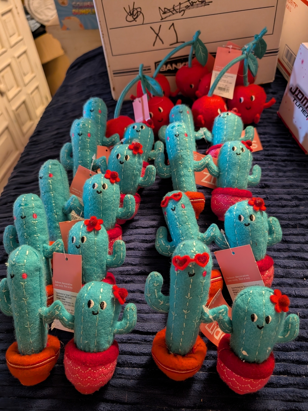Spritz Cactus And Cherry Décor From Target Lot
